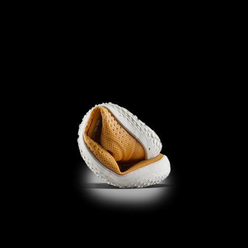 Primus Sport III / IV Toddlers, Pre-School & Kids