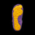 Lowboot Knit Happy TEX Barfotaskor