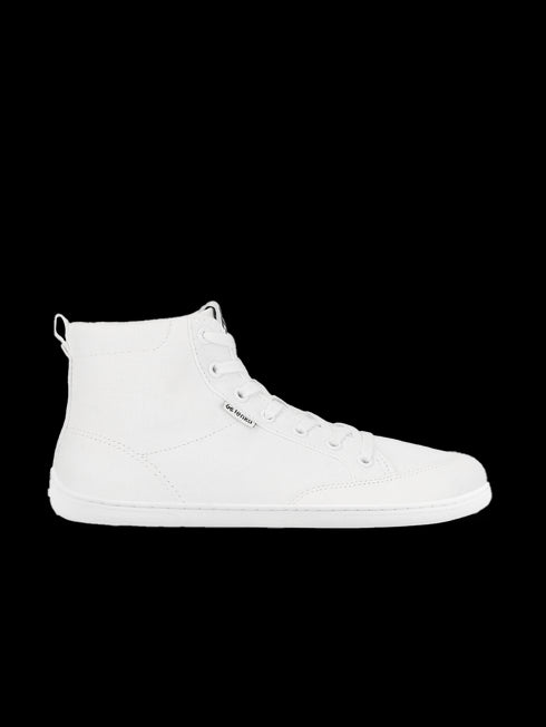 Rebound High 2025 Sneakers
